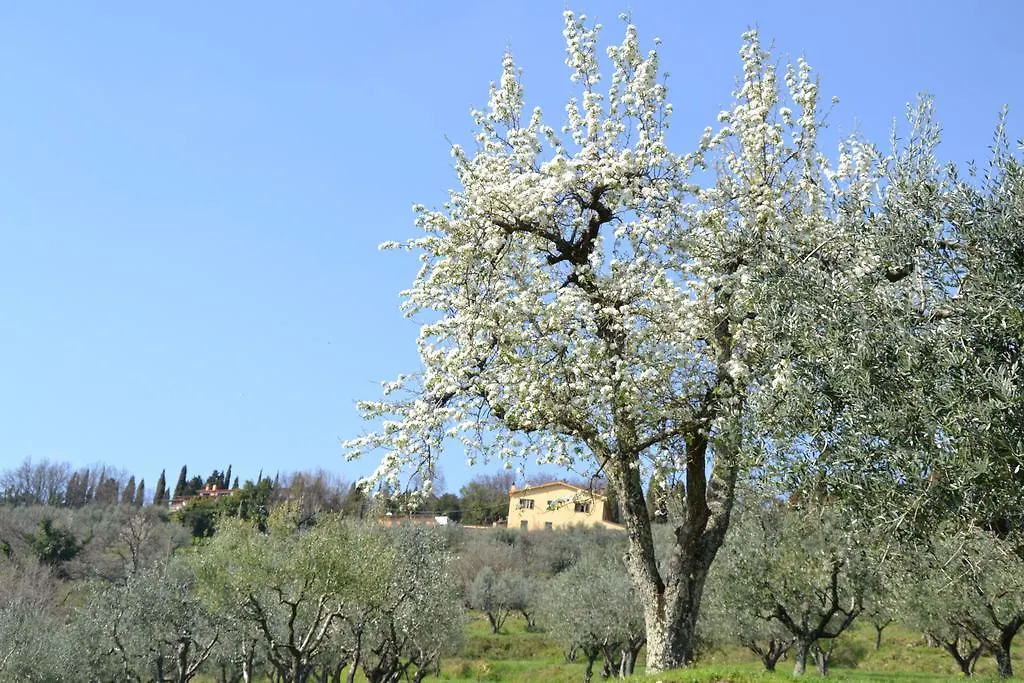 Séjour à la ferme Agriturismo La Corte Pistoia